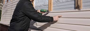 Best Custom Trim and Detailing for Siding  in Martins Ferry, OH